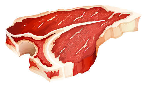 带骨肉单块丁骨肉有点肥插画