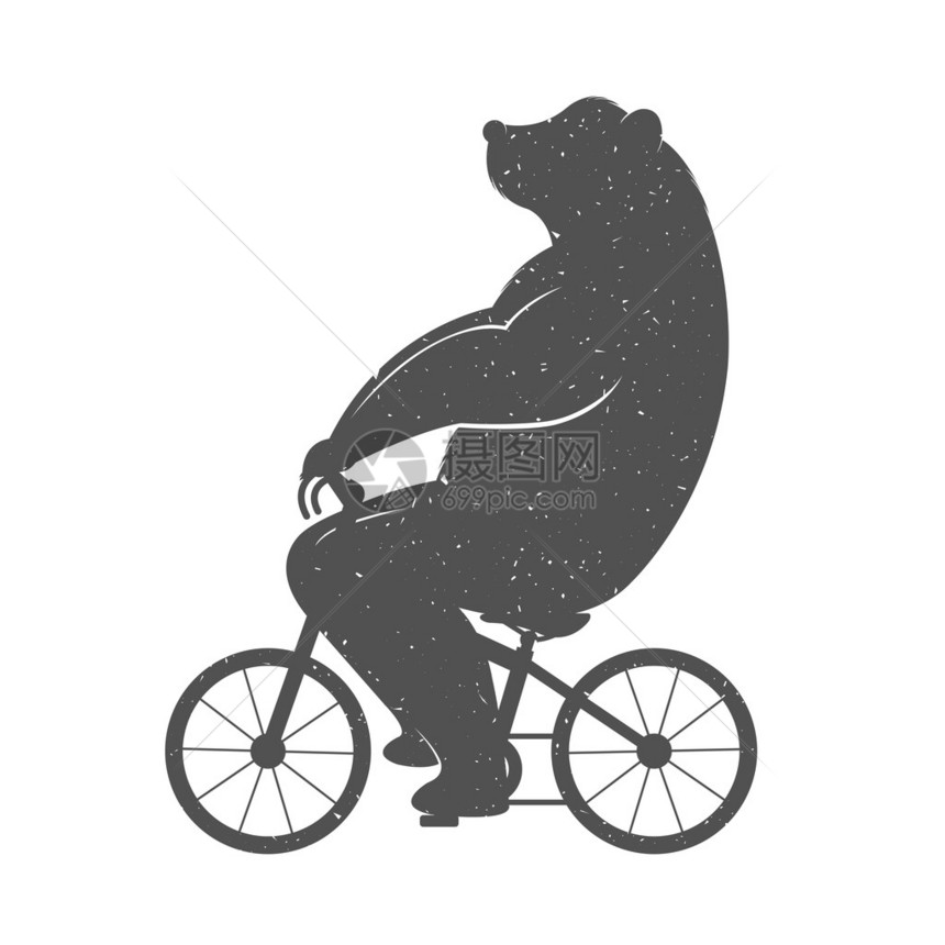 滑稽熊在白色背景的自行车上做海报和T恤衫图片