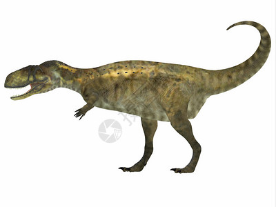 裂脚亚目Abelisaurus是生活在阿根廷白鲸时期的食插画