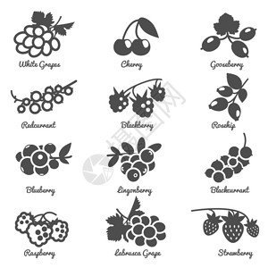 椰香芒白樱桃葡萄花椰玫瑰花香和其他双光板平面符号图标插画