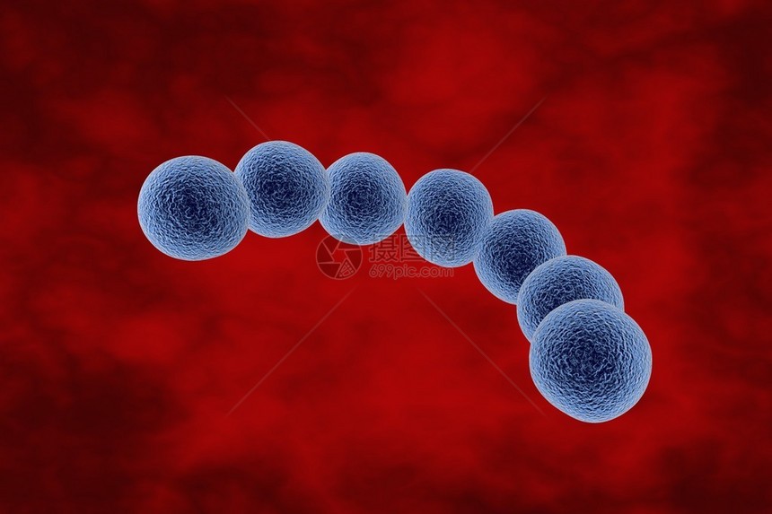 血液中链球菌的三维绘图化脓链球菌细菌模型微生物球形细图片