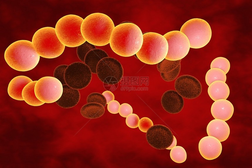 血液中链球菌的三维绘图化脓链球菌细菌模型微生物球形细图片
