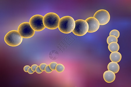 菌血症血液中链球菌的三维绘图化脓链球菌细菌模型微生物球形细设计图片