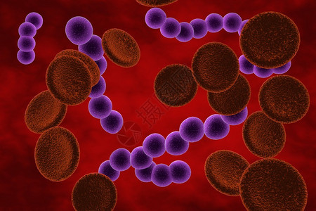血液中链球菌的三维绘图化脓链球菌细菌模型微生物球形细图片
