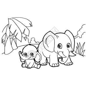 辛纳本白色孤立的大象漫画彩插画