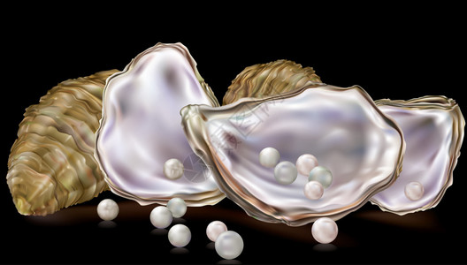 黑色背景中带珍珠的牡蛎壳背景图片