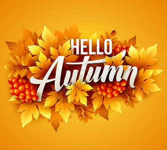 秋季印刷秋叶矢量插图背景图片