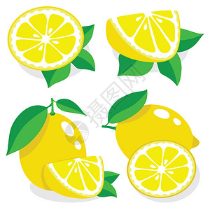 柠檬矢量插图的集合图片
