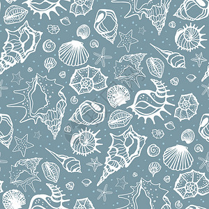 海贝壳的无缝图案手绘矢量图图片