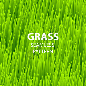 绿草无缝模式矢量图解图片