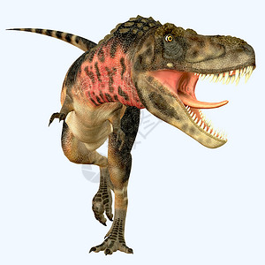 Tarbosaurus是生活在亚洲白鲸时期的食背景图片