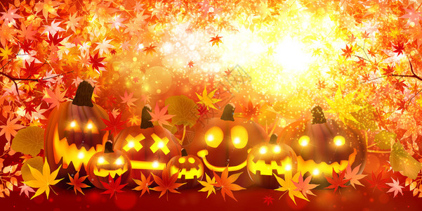 秋天的日本万圣节南瓜枫设计图片