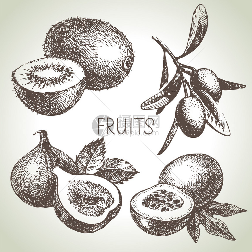 手工绘制草图水果集生态食图片