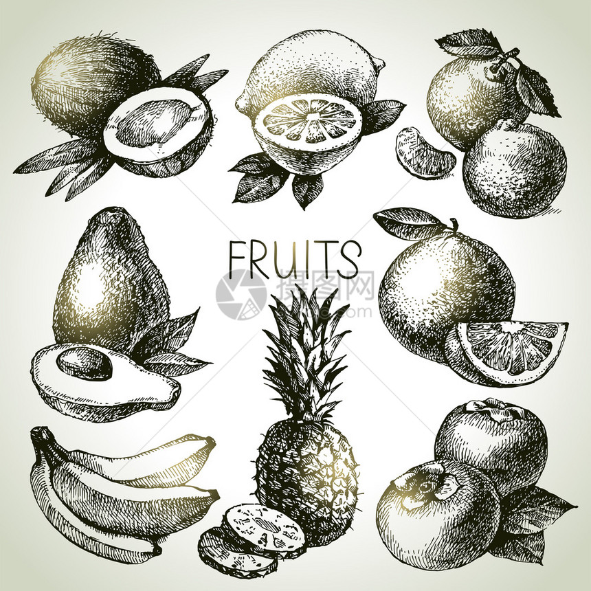 手工绘制草图水果集生态食图片