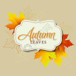 秋季印刷秋叶矢量插图图片