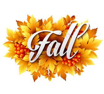 秋季印刷秋叶矢量插图图片