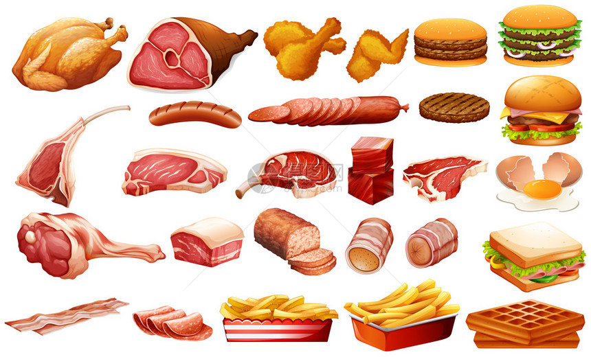 不同种类的肉类和食物插图图片