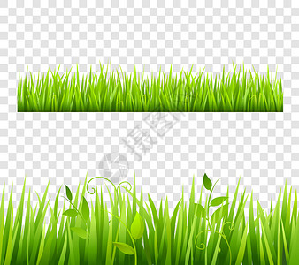 绿色和明亮的草边界用植物平板隔离图片