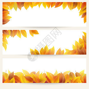 三个带秋叶的矢量横幅集背景图片