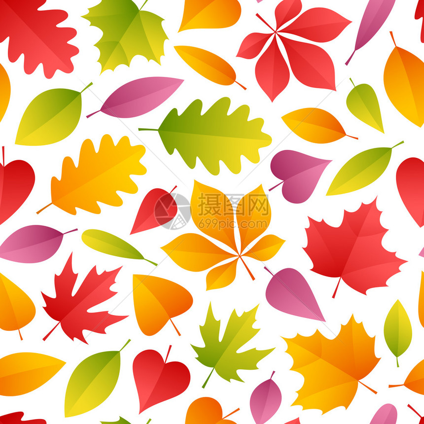 色彩多的秋季无缝脱落模式孤立在白色背景上JPG文件包图片
