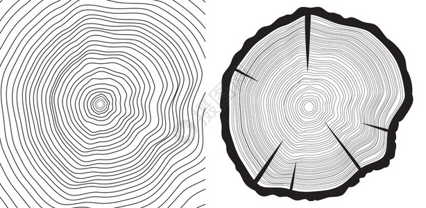 波马拉切矢量锯切干和年轮插画