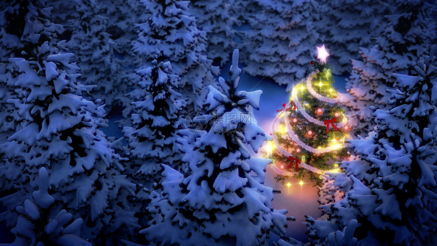 明亮的圣诞树在夜间被雪覆图片