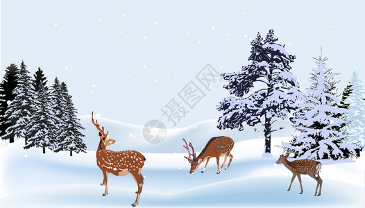 与鹿在森林降雪下的插图图片