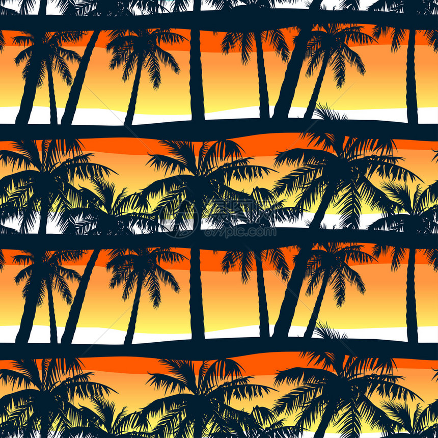 热带棕榈树在日落时以图片
