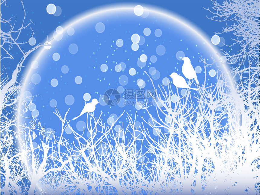 蓝色和白色冬季背景及鸟图片