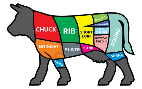 牛肉切块的矢量图解背景图片