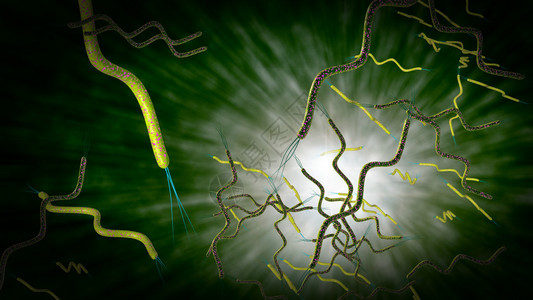 极大螺旋藻3D计算机生成的显微镜紧闭卷状设计图片