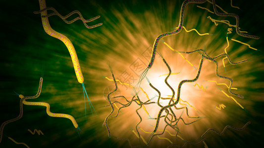 极大螺旋藻3D计算机生成的显微镜紧闭卷状设计图片