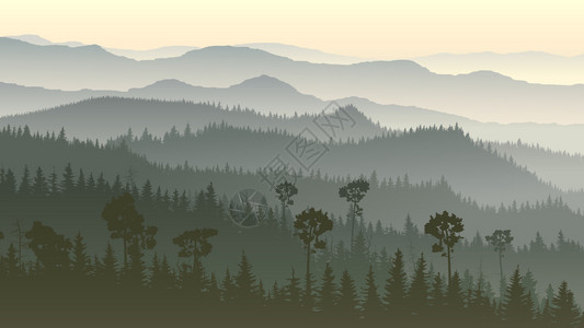 早晨有雾的针叶林山丘的水平插图图片