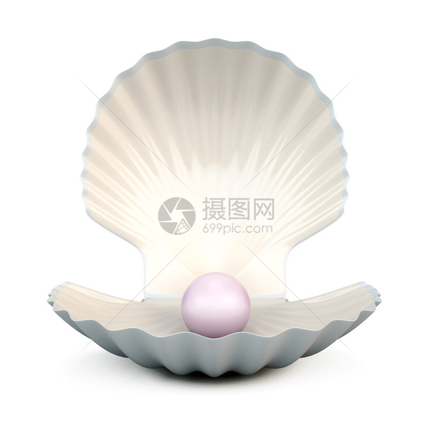 孤立在白色背景上的贝壳珍珠3d插图图片