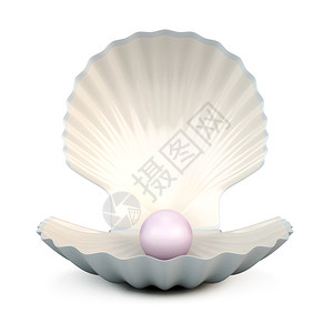 孤立在白色背景上的贝壳珍珠3d插图图片