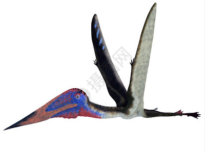 泽江戈普特鲁斯是一种食肉恐龙高清图片