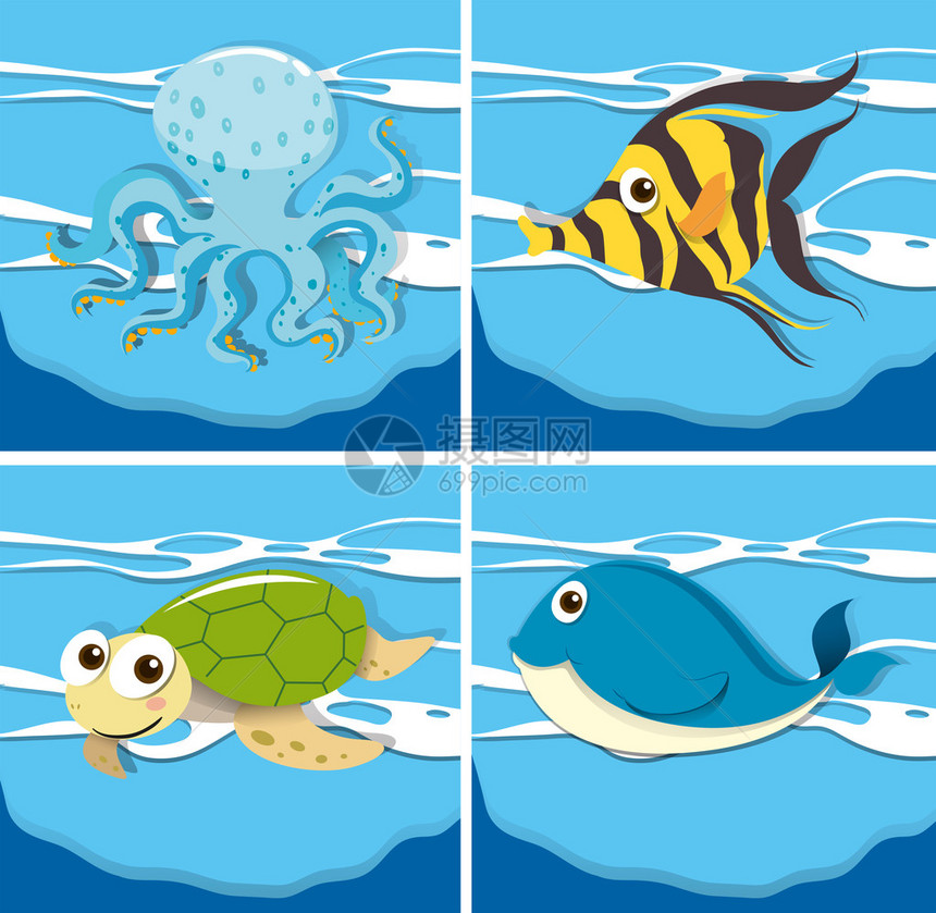 四种不同的海洋图片