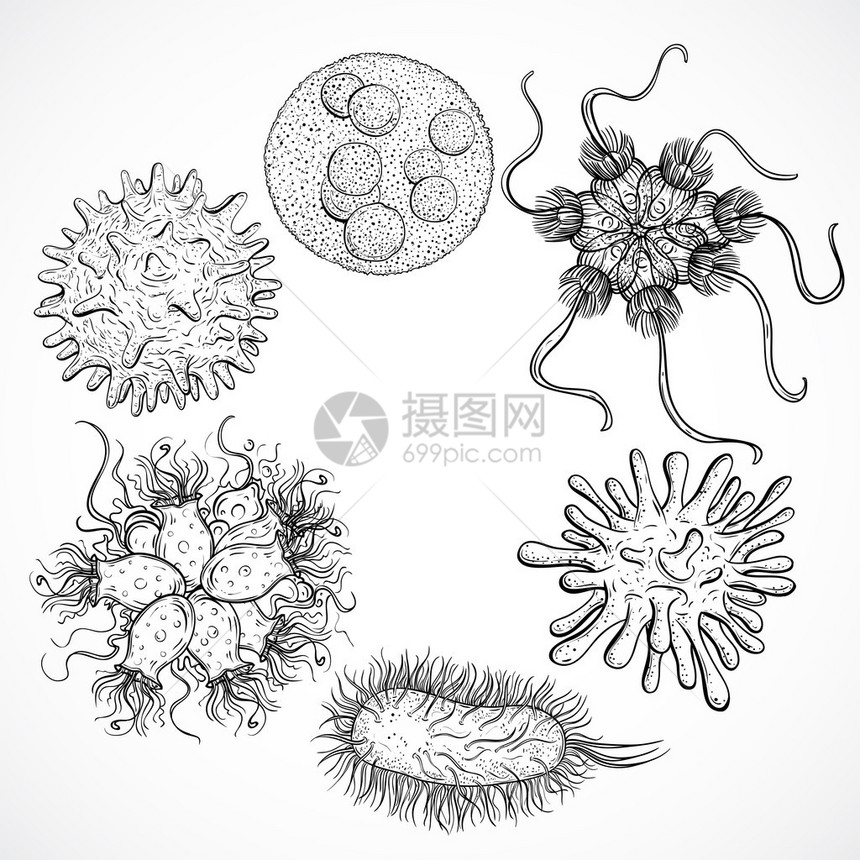 微生物和古代设计组黑白现实的孤立图片