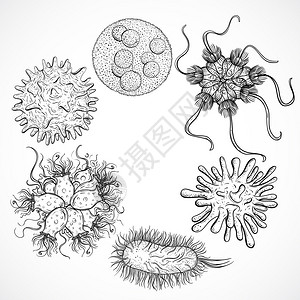 微生物和古代设计组黑白现实的孤立图片