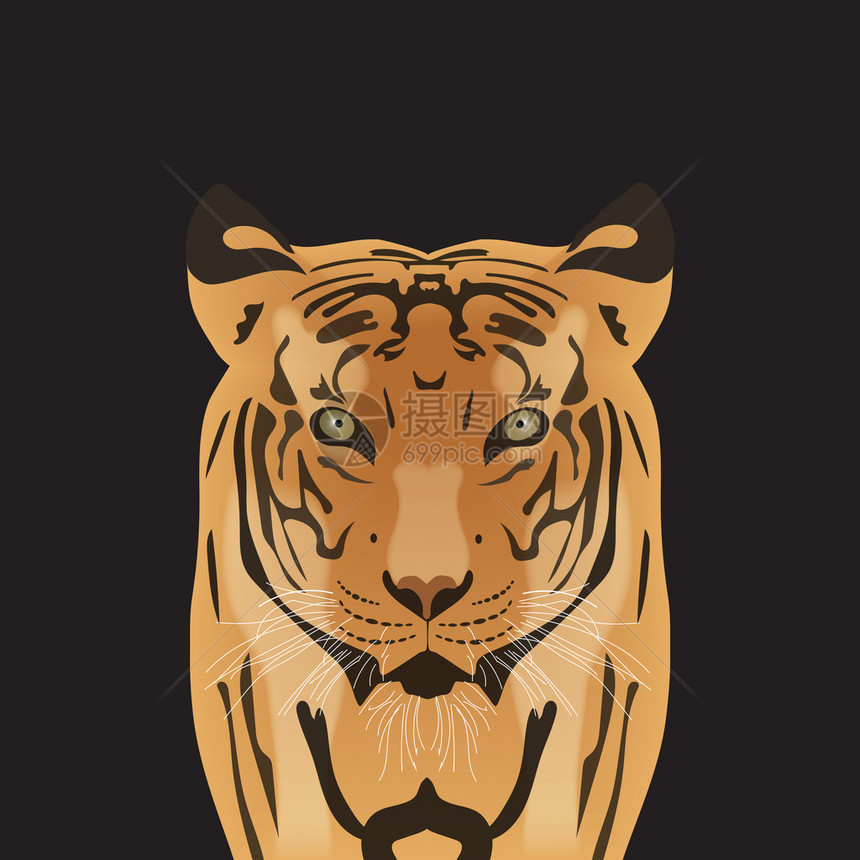 老虎的平面矢量肖像一只眼睛穿透的大图片