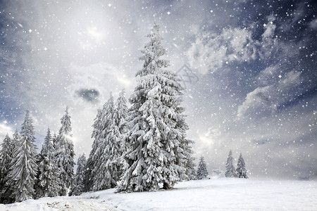 圣诞背景有雪图片