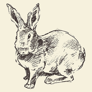 兔子雕刻风格古典画背景图片