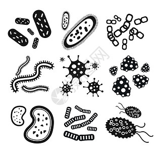 污染物细菌黑白矢量图标集生物学微生物微生物细菌和杆菌病媒原体图标原核生物分离的虫子科学微生物设计图片