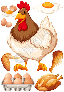 鸡肉和鸡肉产品插图图片