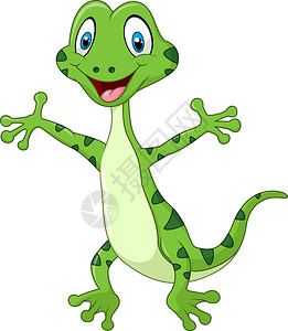 CuteGreen蜥蜴在白色背景上与世隔绝的卡特绿色图片