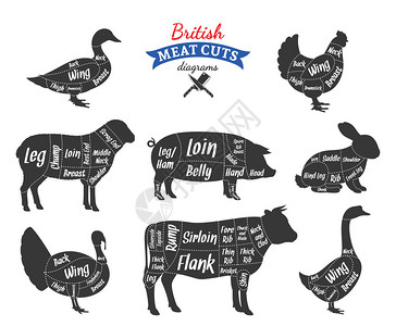 畜栏英国牛肉猪肉羊羔鸡鸭插画