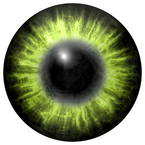 浅绿色眼睛与中学生和暗视网膜图片