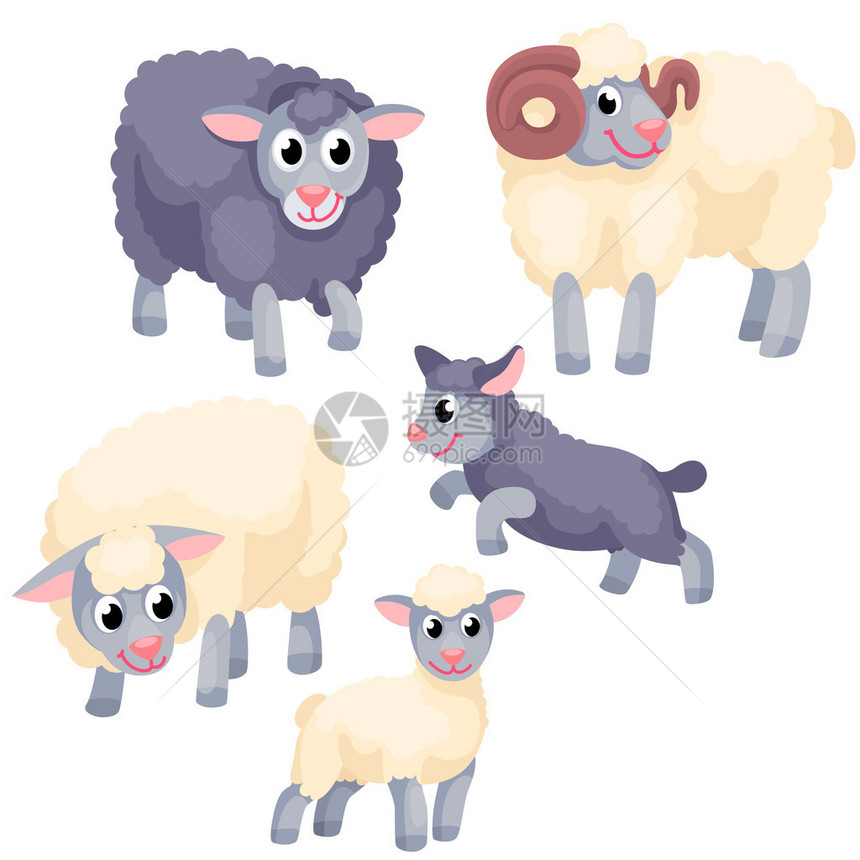 有可爱的羊和家庭在白色背景上图片