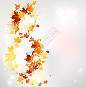 叶子的秋天旋转为文本留出位置Ras图片