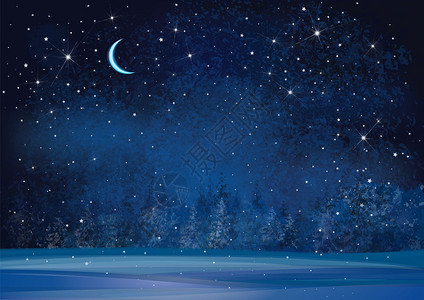 矢量冬季奇幻园夜幕背景森林图片